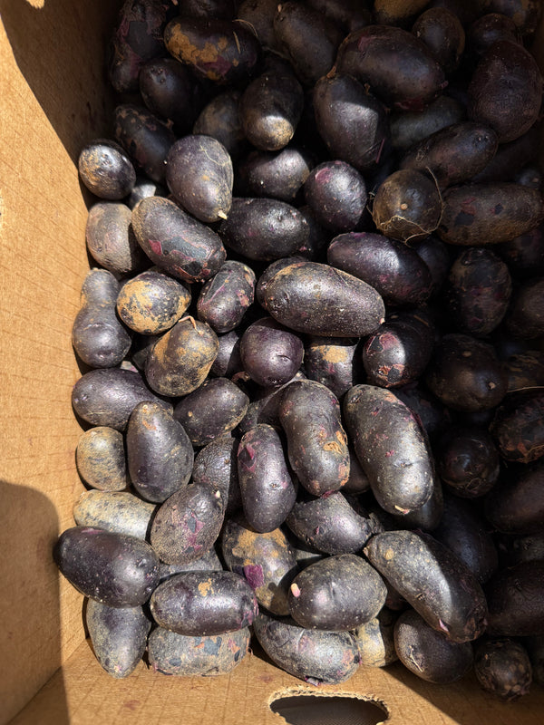 Magic Molly Potatoes from Weiser Family Farms 2lbs
