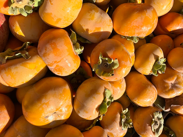 Fuyu Persimmon 2lbs from Country Rhodes Farm
