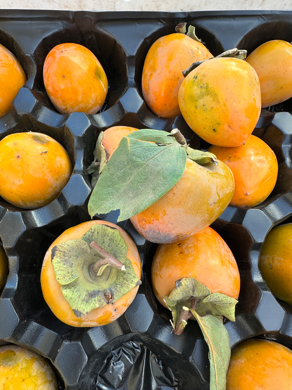 Hachiya Persimmon 2lbs Country Rhodes Farm