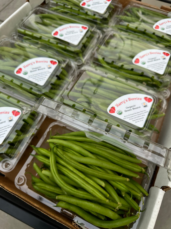 Organic French Green Beans from Harry’s Berries 1lb Certified Organic