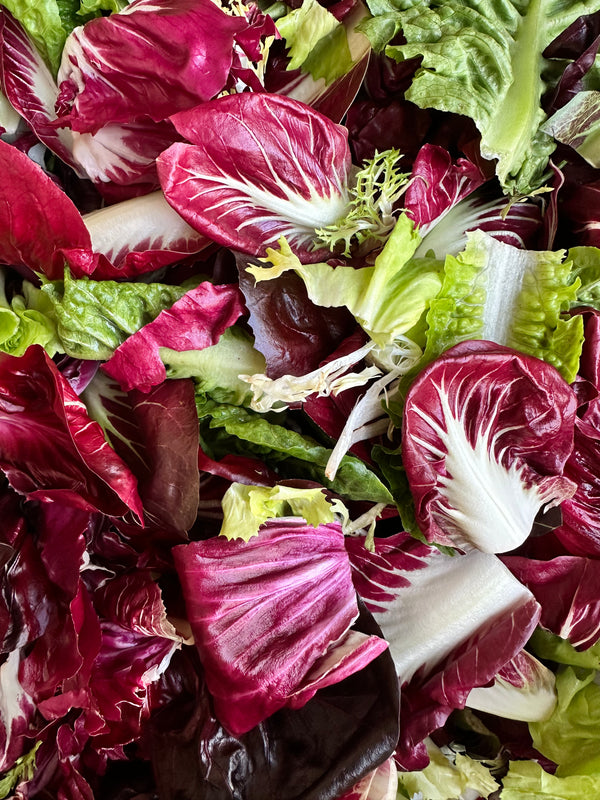 Organic Special Winter Mix Salad from Kenter Canyon Farms