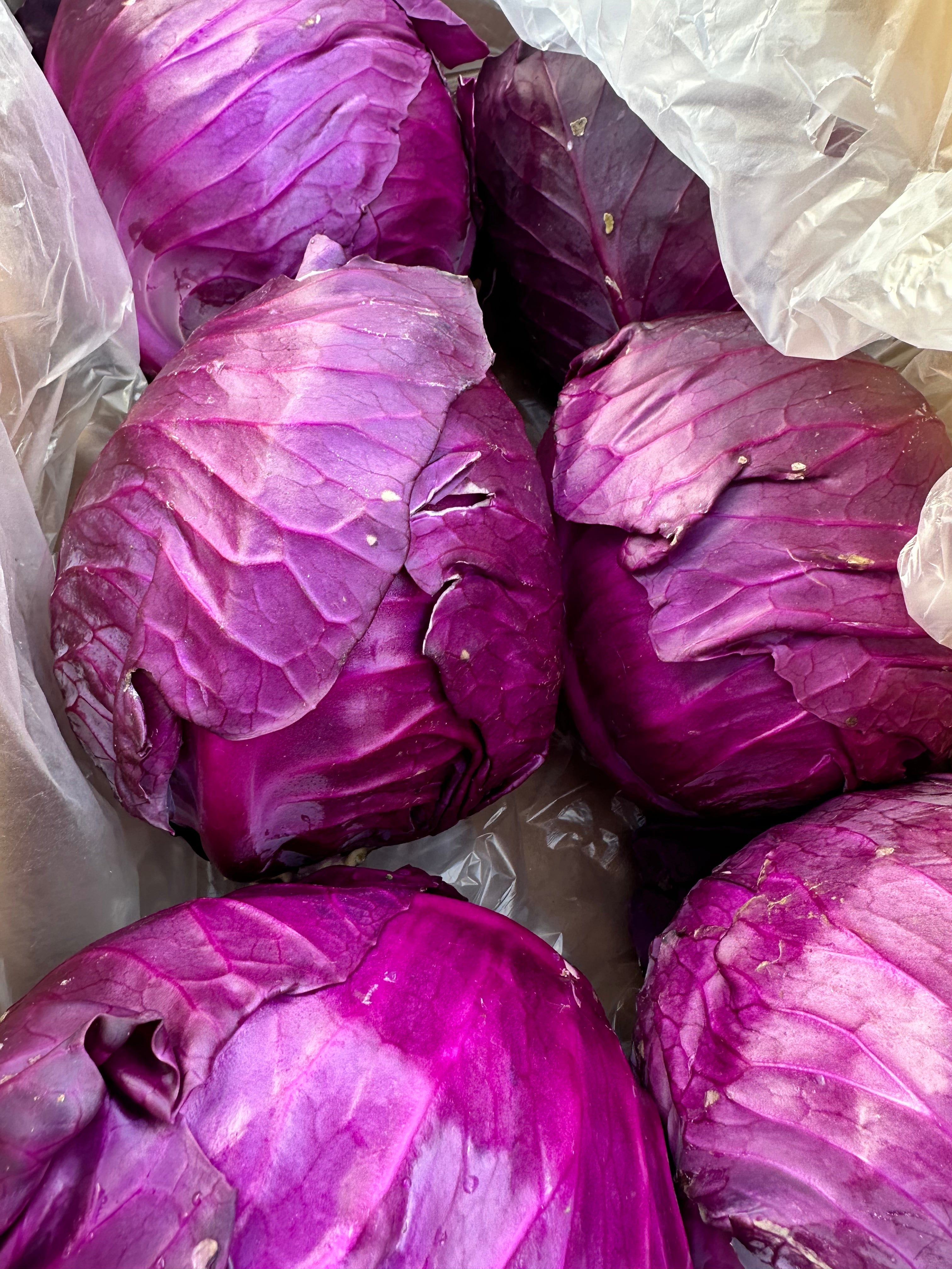 Purple ConeHead Cabbage from Weiser Family Farms 1 unit Avocado Toast