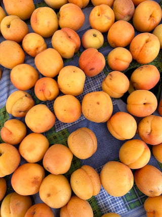 Poppy Apricots from K&K Ranch 2lbs