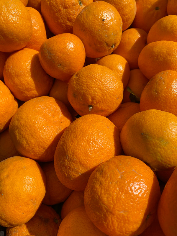 Satsuma Mandarines from Galpin Family Farms