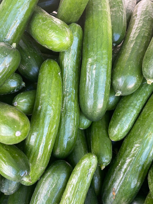 Persian Cucumbers from Beylik Farms
