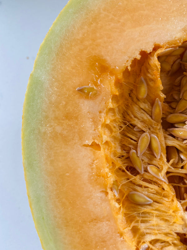Organic Cantaloupe from Finley Farms