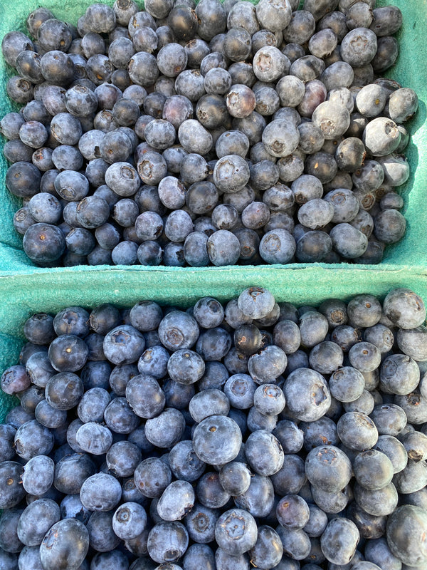 Organic Blueberries from Murray Family Farms - Certified Organic - 2lbs
