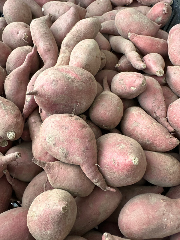 Japanese Sweet Potato from HER Produce 2lbs white inside