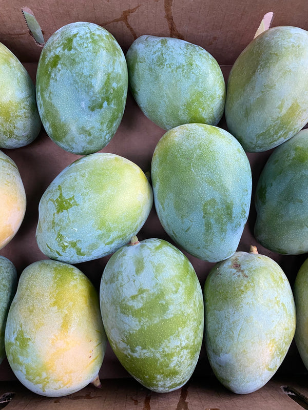 Keitt Mango from Wong Farms - 1 unit
