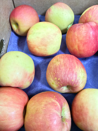 Organic Fuji Apples from Washington 2lbs