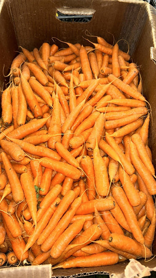 Orange Carrots from Givens Farms certified organic 2lbs