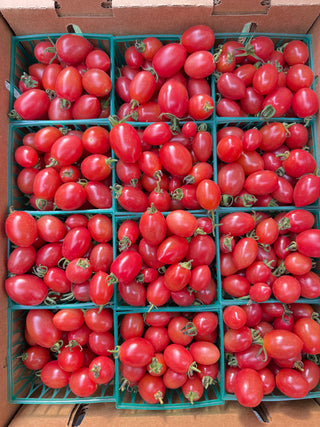 Baby Momotaro Tomatoes