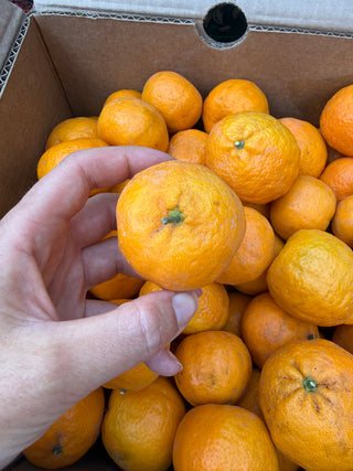 Golden Nuggets 2lbs from Galpin Family Farms