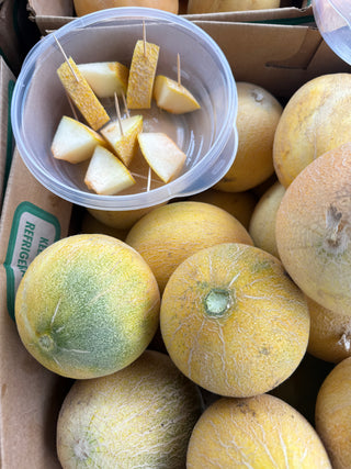 Ananas Melon from Munak Ranch - 1 unit