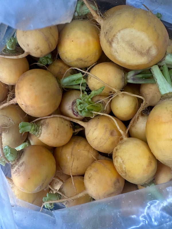 Organic Golden Turnips from Garden Of - 1 pound