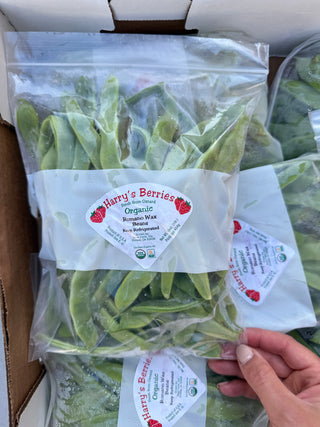Organic Romano Wax Beans from Harry’s Berries 1pound