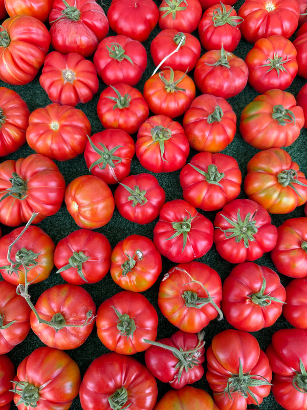 Organic Marsalato Heirloom Tomatoes 1 pound