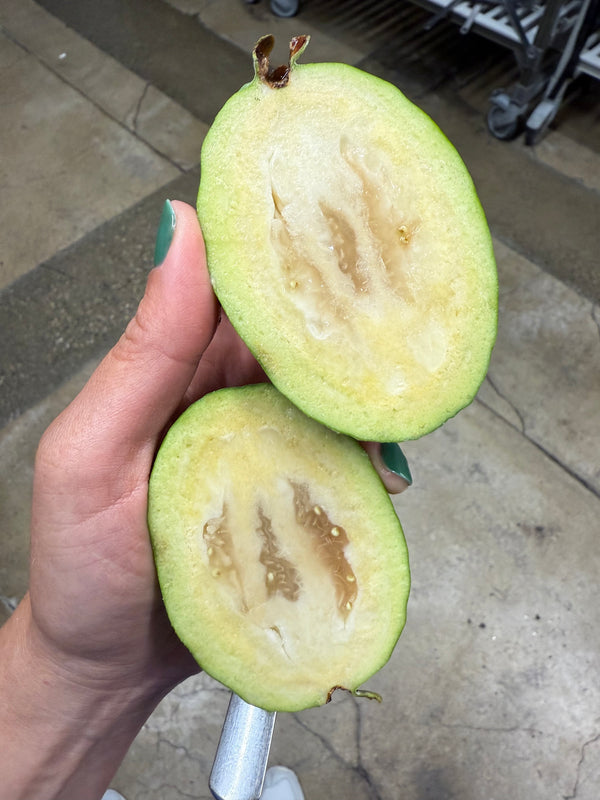 Feijoa or Pineapple Guava from Rincon Tropics 1lb