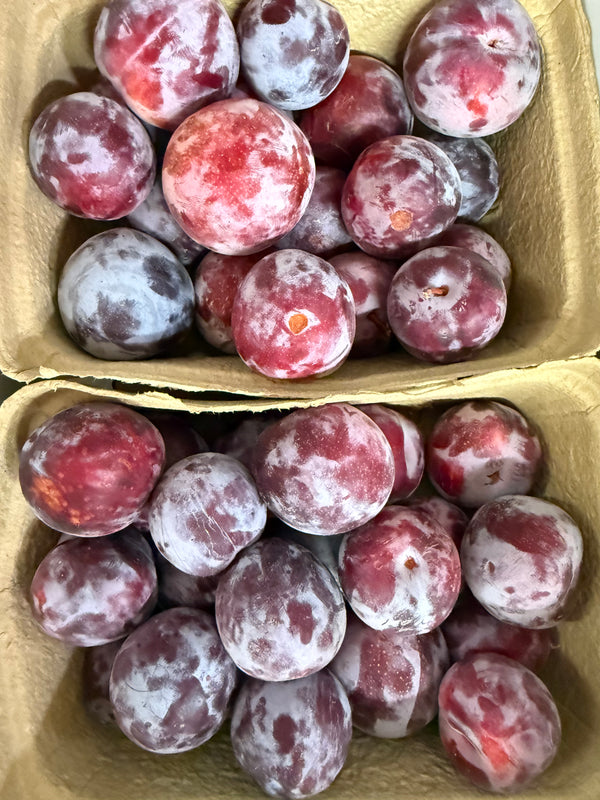 Organic Pluot from Murray Family Farms 1 tub 2lbs