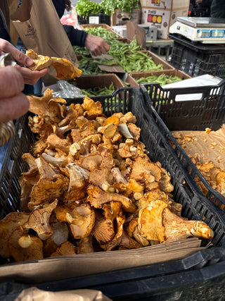 Chanterelle Mushrooms from Tutti Frutti wild - half pound
