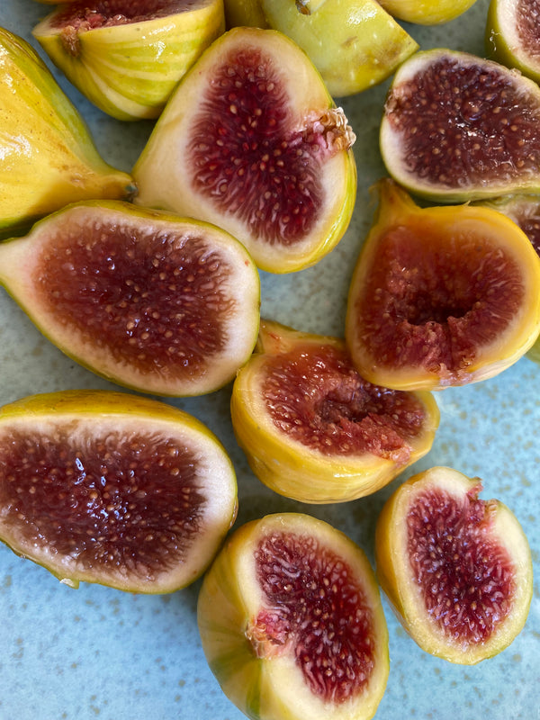 Organic Figs Experimental from Murray Family Farms - 1 half pint