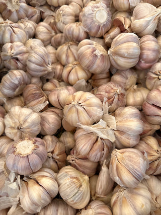 Garlic from Milliken Farms - 1 unit