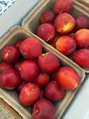 Organic Yellow Nectarines from Murray Family Farms- 2lbs
