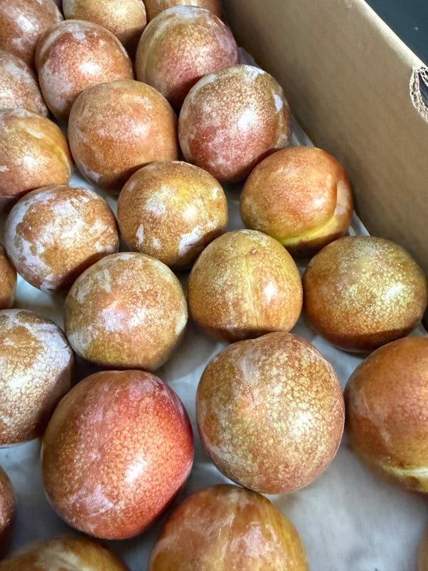 Organic Fire Dapple Pluot from Burkart Organics 2lbs