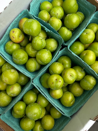 Organic Armenian Sour Plum or Persian Sour Plum - 1 pint