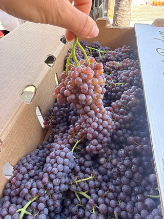Champagne Grapes from Barron Family Farms - half pound