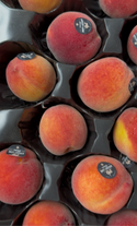Organic Eva’s Pride Peaches from Apricot Lane Farms 2lbs