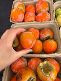 Organic Hachiya Persimmon 2lbs Murray Family Farms