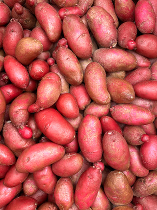 Amarosa Fingerling Potato from Weiser Family Farms - 2lbs