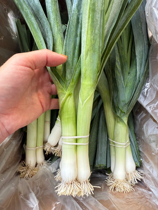 Organic Leeks from Apricot Lane Farms 1 bunch