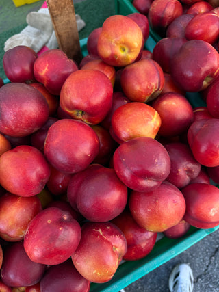 Organic Yellow and White Nectarines from Burkart Organic 2lbs Premium Quality