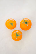 Yellow Tomatoes from Beylik Farms - 2lbs