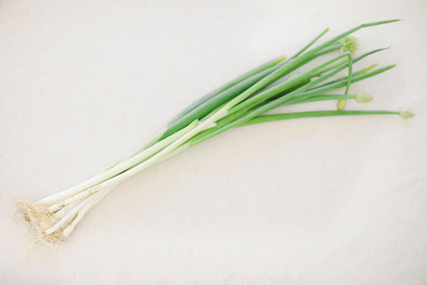 Scallions from HER Produce