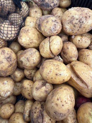 Organic Yukon Gold Potatoes from Finley Farms 2lbs