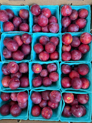 Organic Sweet Treat Pluerries Apricot Lane Farms - 1 pint