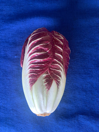 Organic Treviso from Garden Of.. 1 unit