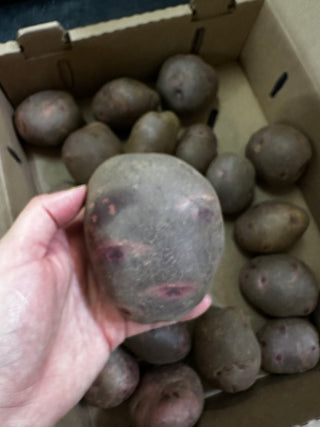 Organic Purple Viking Potatoes from Apricot Lane Farms 2lbs