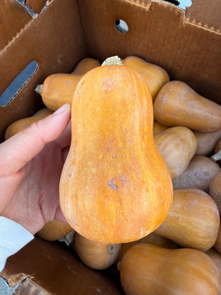 Organic Honeynut Squash from Sunrise Farms - 2lb