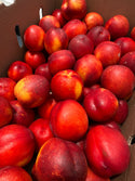 Organic Yellow Nectarines from Murray Family Farms- 2lbs