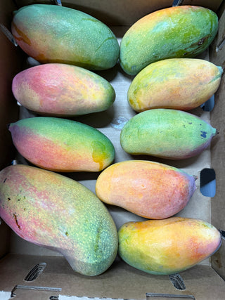 Valencia Pride Mango from Markov Brothers