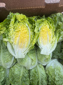 Organic Debby’s Green Little Gem Lettuce from Garden Of - 3 units