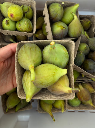Organic Figs from Apricot Lane Farms - Certified Biodynamic and Organic - half pint