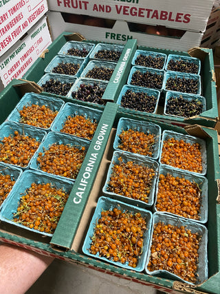 Organic Currants from Murray Family Farms Golden and Black 3 half pints
