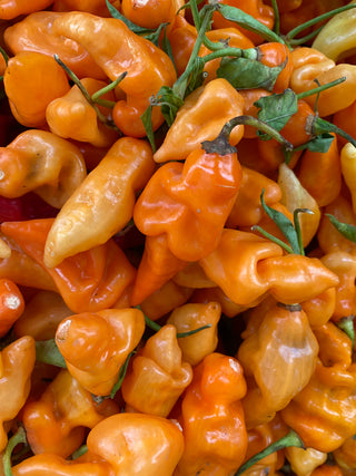 Habanada from Weiser Family Farms - half pound