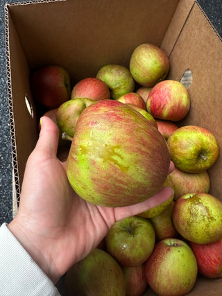 Organic Biodynamic Gordon Apples from Apricot Lane Farms 2lbs