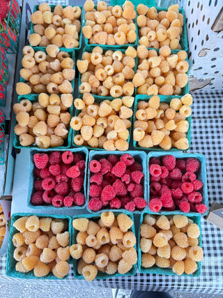 Golden Raspberries from Jimenez Farms - 2 half pints